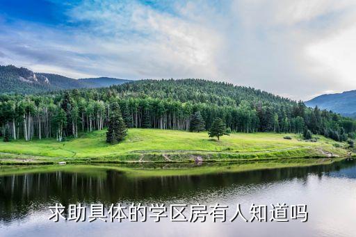 求助具体的学区房有人知道吗