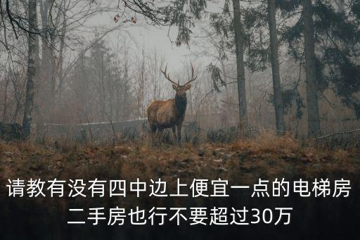 请教有没有四中边上便宜一点的电梯房二手房也行不要超过30万