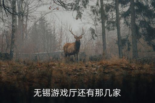 无锡哪个初中学区房值得买，无锡哪有掌上游戏机卖