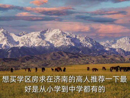 想买学区房求在济南的高人推荐一下最好是从小学到中学都有的