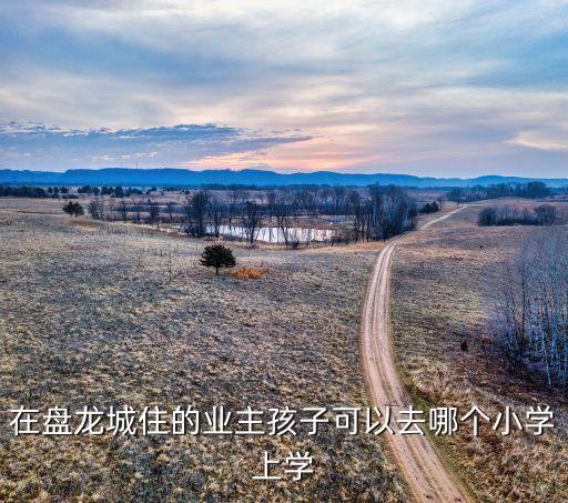 在盘龙城住的业主孩子可以去哪个小学上学