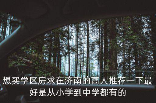 想买学区房求在济南的高人推荐一下最好是从小学到中学都有的
