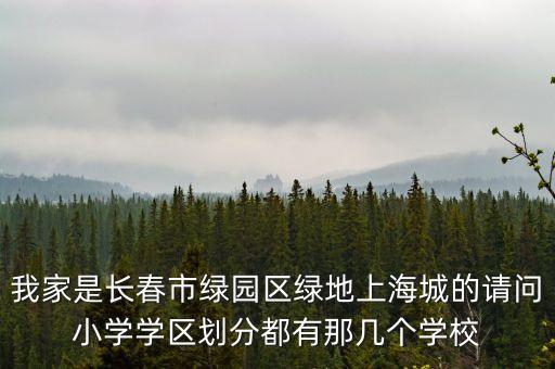 我家是长春市绿园区绿地上海城的请问小学学区划分都有那几个学校