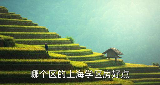 哪个区的上海学区房好点