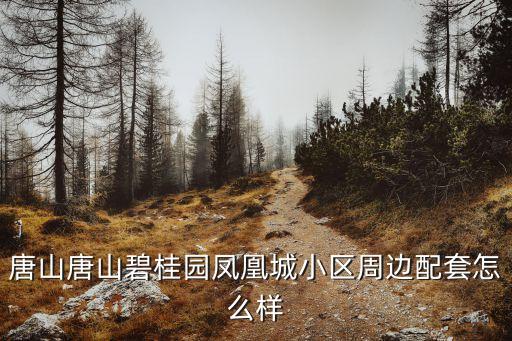 唐山碧桂园哪个学区房，请问卖二手房销售和卖保险哪个靠谱