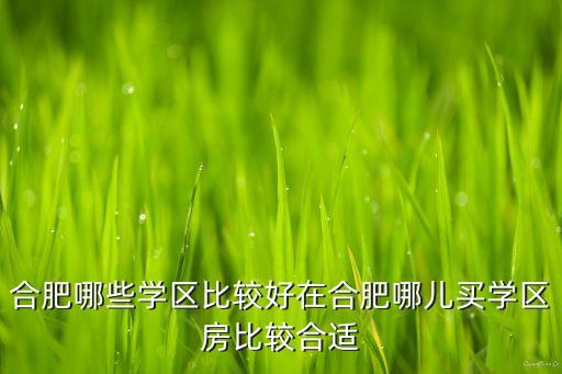 合肥哪些学区比较好在合肥哪儿买学区房比较合适