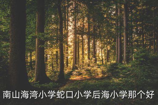 南山海湾小学蛇口小学后海小学那个好