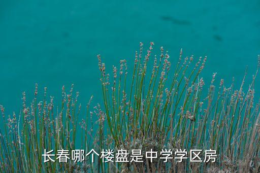 长春哪个楼盘是中学学区房