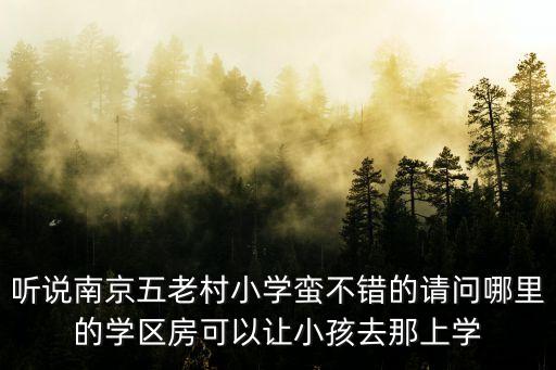听说南京五老村小学蛮不错的请问哪里的学区房可以让小孩去那上学