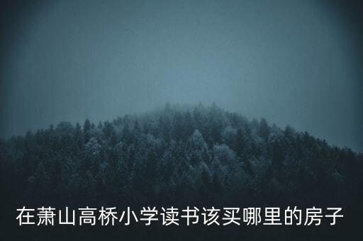 杭州萧山哪个学区房好，萧山城区有哪些比较好的学区房