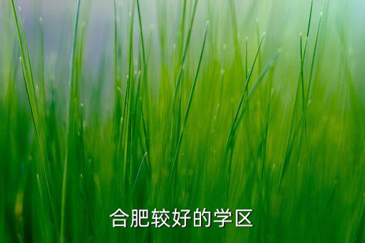 庐阳哪个学区房好，合肥较好的学区