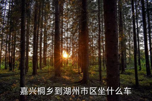 嘉兴桐乡到湖州市区坐什么车