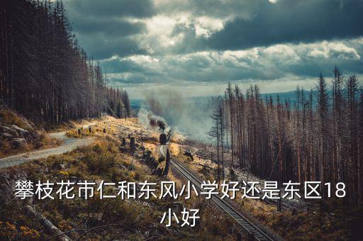攀枝花市仁和东风小学好还是东区18小好