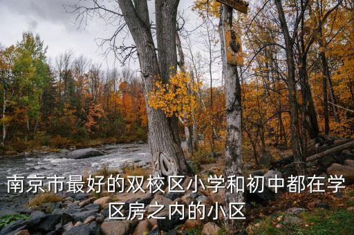 南京市最好的双校区小学和初中都在学区房之内的小区