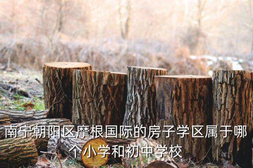 南宁朝阳区摩根国际的房子学区属于哪个小学和初中学校