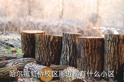 哈尔滨虹桥校区周边都有什么小区