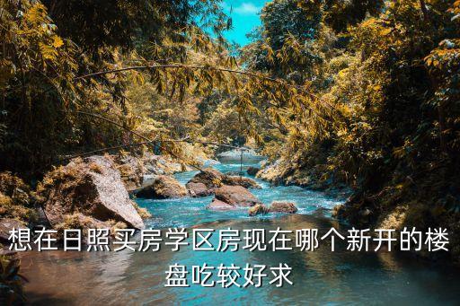 想在日照买房学区房现在哪个新开的楼盘吃较好求