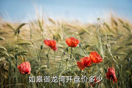 如皋御龙湾开盘价多少