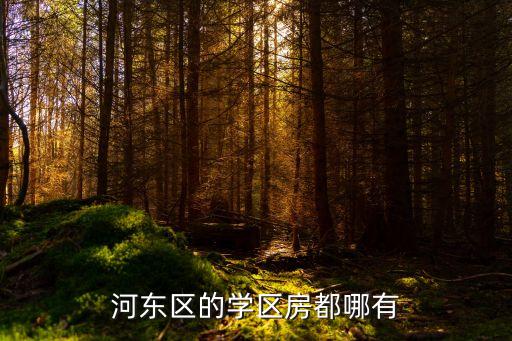临沂河东东城学区房有哪些，临沂比较好的学区房有哪些小户型的