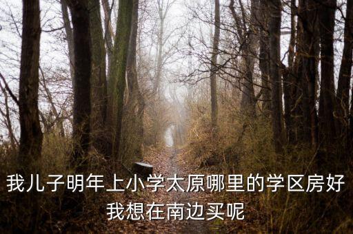 我儿子明年上小学太原哪里的学区房好我想在南边买呢
