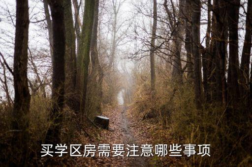 买学区房需要注意哪些事项