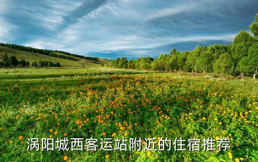 涡阳城西客运站附近的住宿推荐