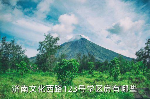 济南文化西路123号学区房有哪些