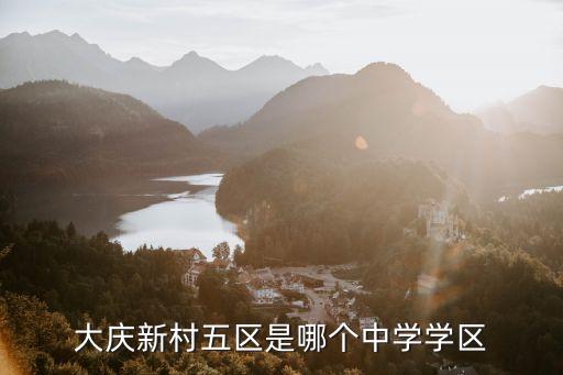 大庆新村五区是哪个中学学区