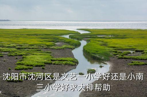沈阳市沈河区是文艺一小学好还是小南三小学好求大神帮助