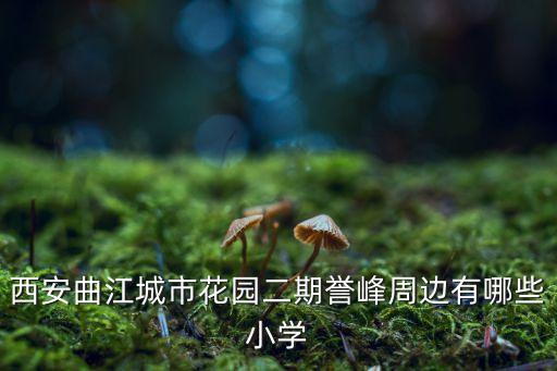 曲江二小有哪些学区房，西安曲江城市花园二期誉峰周边有哪些小学