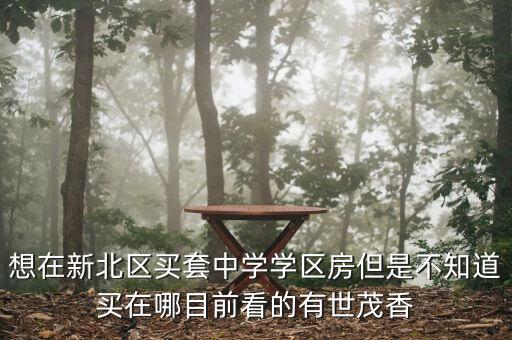 想在新北区买套中学学区房但是不知道买在哪目前看的有世茂香