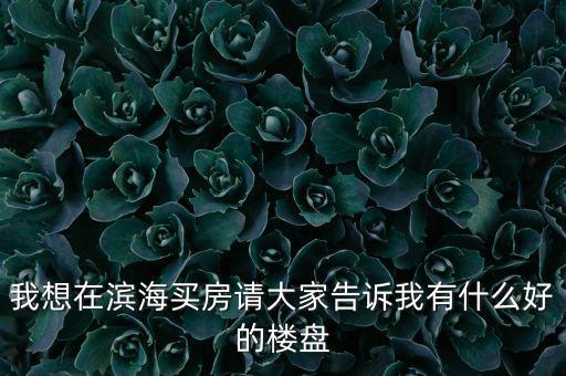 我想在滨海买房请大家告诉我有什么好的楼盘