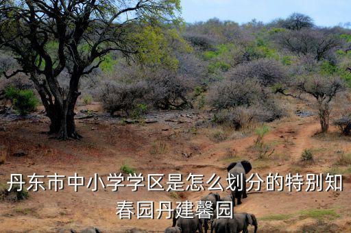 丹东市中小学学区是怎么划分的特别知春园丹建馨园
