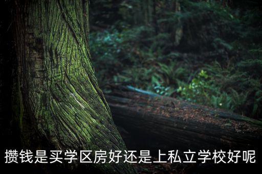 攒钱是买学区房好还是上私立学校好呢