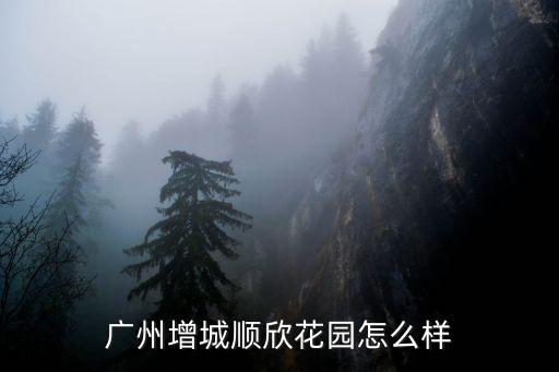广州增城顺欣花园怎么样
