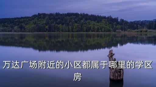 万达广场附近的小区都属于哪里的学区房