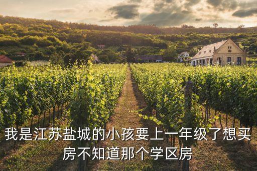 我是江苏盐城的小孩要上一年级了想买房不知道那个学区房