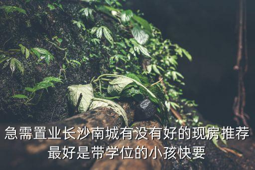 急需置业长沙南城有没有好的现房推荐最好是带学位的小孩快要