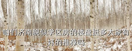 咱们济南貌似学区房的楼盘挺多大家有好的推荐吗