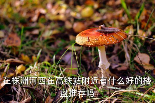 在株洲河西在高铁站附近有什么好的楼盘推荐吗