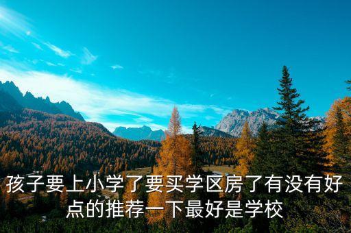 孩子要上小学了要买学区房了有没有好点的推荐一下最好是学校