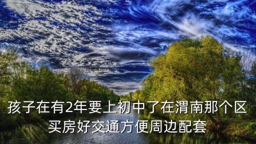 渭南有哪些的学区房，陕西渭南站北路东段碧水园小区应属哪个初级中学学区的