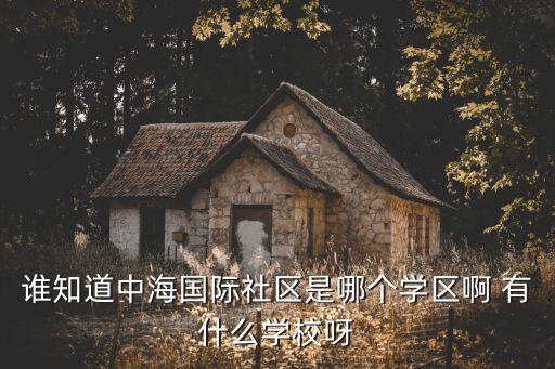 谁知道中海国际社区是哪个学区啊 有什么学校呀