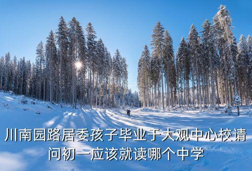 川南园路居委孩子毕业于大观中心校请问初一应该就读哪个中学
