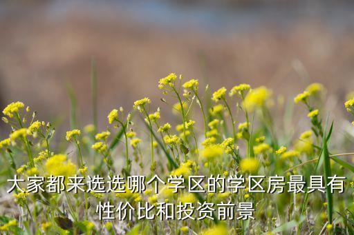 大家都来选选哪个学区的学区房最具有性价比和投资前景