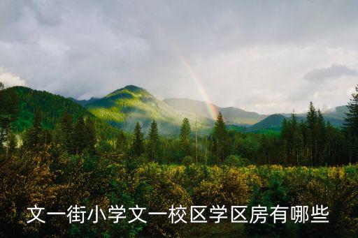 文一街小学文一校区学区房有哪些