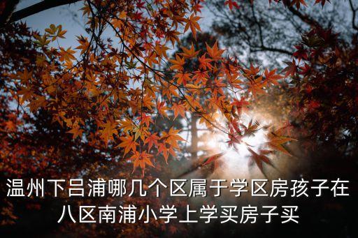 温州下吕浦哪几个区属于学区房孩子在八区南浦小学上学买房子买
