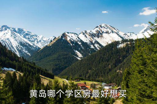 老黄岛哪个小区学区房最好，在青岛黄岛区哪儿的房子比较好又比较便宜