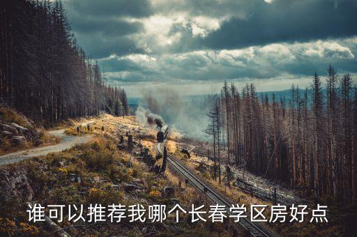 谁可以推荐我哪个长春学区房好点