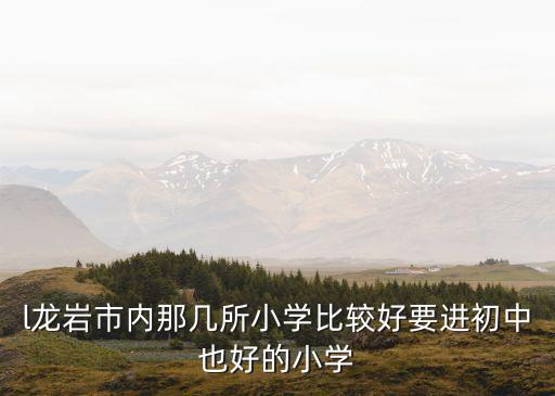 龙岩哪个小学比较好学区房，龙岩哪个小学好啊